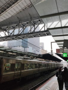 知らない世界へ、一歩踏み出してみた。